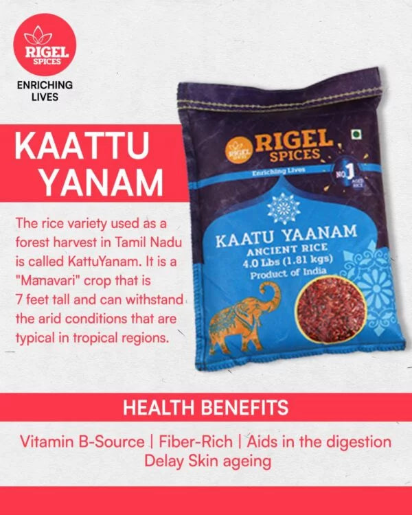 Kaatu Yaanam Rice